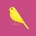Yellow Bird